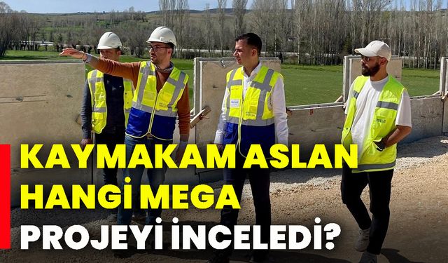 Kaymakam Aslan hangi mega projeyi inceledi?