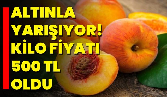 Altınla Yarışıyor! Kilo Fiyatı 500 TL Oldu