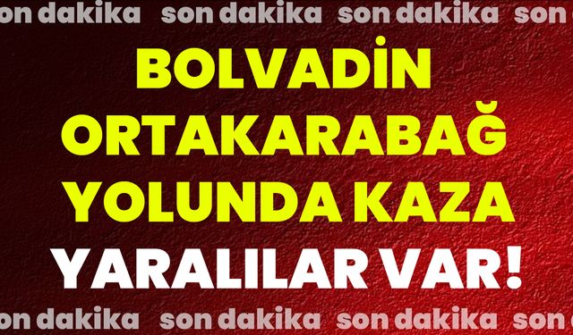 Bolvadin Ortakarabağ Yolunda Kaza Yaralılar Var!