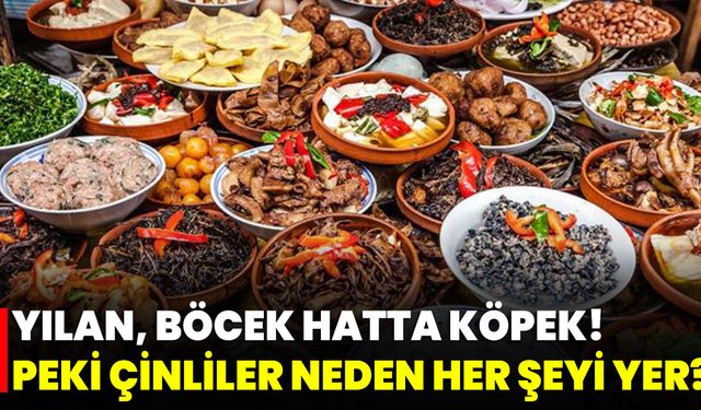Yılan, Böcek Hatta Köpek! Peki Çinliler Neden Her Şeyi Yer?
