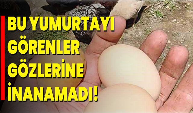Bu Yumurtayı Görenler Gözlerine İnanamadı!