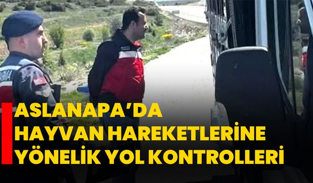Aslanapa’da hayvan hareketlerine yönelik yol kontrolleri