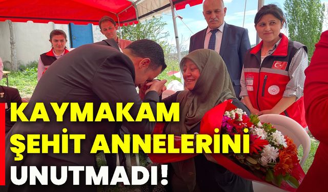 Kaymakam şehit annelerini unutmadı!