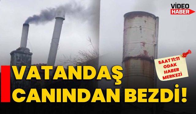 Vatandaş canından bezdi!