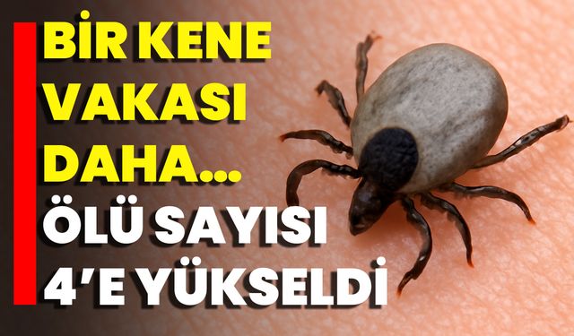 Bir Kene Vakası Daha… Ölü Sayısı 4’e Yükseldi