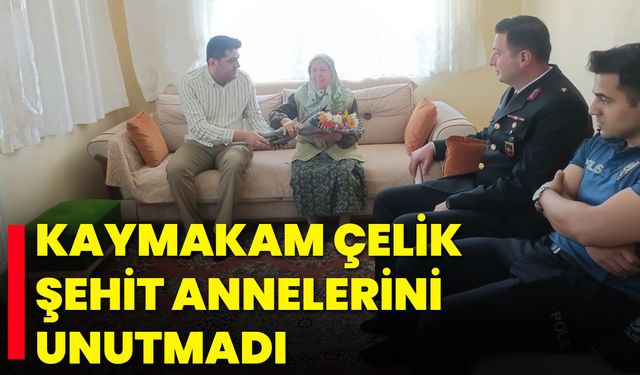 Kaymakam Çelik, Şehit Annelerini Unutmadı