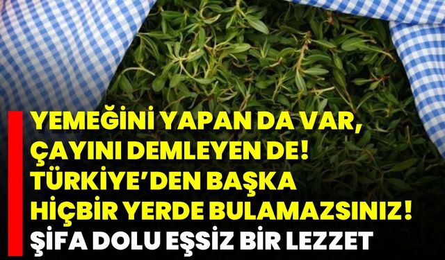 Yemeğini Yapan Da Var, Çayını Demleyen De! Türkiye’den Başka Hiçbir Yerde Bulamazsınız! Şifa Dolu Eşsiz Bir Lezzet
