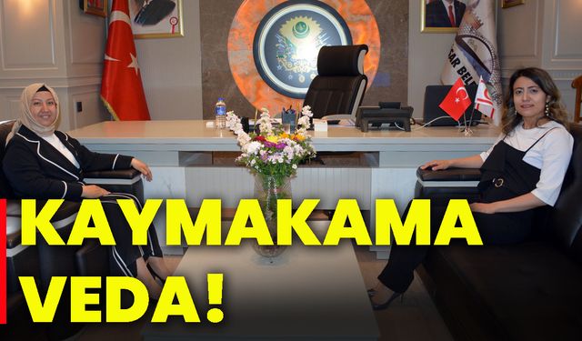 Kaymakama veda!