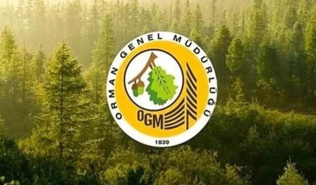 ORMANCILIK ÇALIŞMALARININ TAKİBİ VE KONTROLÜ HİZMETİ ALINACAKTIR