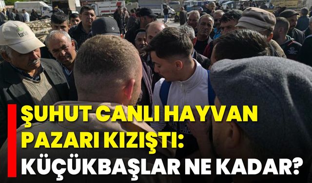 Şuhut Canlı Hayvan Pazarı Kızıştı: Küçükbaşlar Ne Kadar?