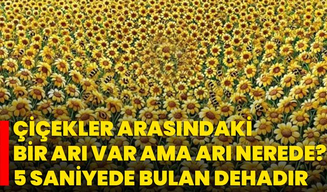 Çiçekler Arasındaki Bir Arı Var Ama Arı Nerede? 5 Saniyede Bulan Dehadır