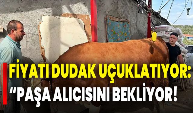 Fiyatı Dudak Uçuklatıyor: Paşa Alıcısını Bekliyor!