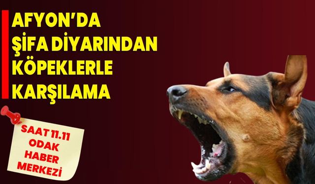 AFYON’DA ŞİFA DİYARINDAN KÖPEKLERLE KARŞILAMA