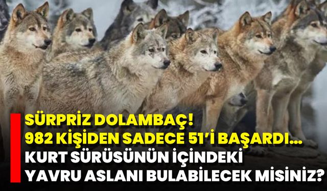 Sürpriz Dolambaç! 982 Kişiden Sadece 51’i Başardı… Kurt Sürüsünün İçindeki Yavru Aslanı Bulabilecek Misiniz?