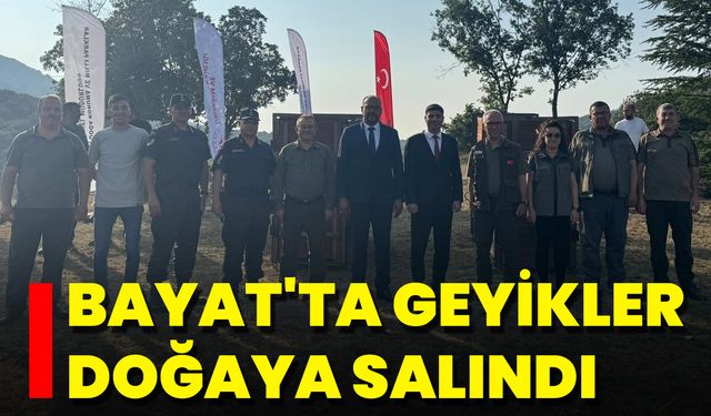 Bayat'ta Geyikler Doğaya Salındı