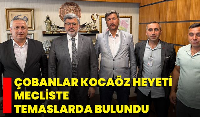 Çobanlar Kocaöz Heyeti, Mecliste Temaslarda Bulundu