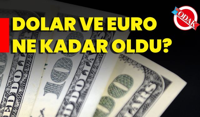 Dolar Ve Euro Ne Kadar Oldu?