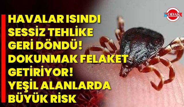 Havalar Isındı, Sessiz Tehlike Geri Döndü! Dokunmak Felaket Getiriyor! Yeşil Alanlarda Büyük Risk