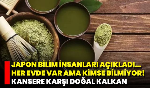 Japon Bilim İnsanları Açıkladı… Her Evde Var Ama Kimse Bilmiyor! Kansere Karşı Doğal Kalkan
