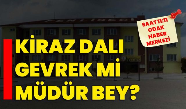 Kiraz Dalı Gevrek mi Müdür Bey?
