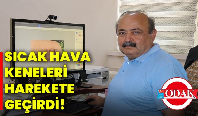 Sıcak hava keneleri harekete geçirdi!