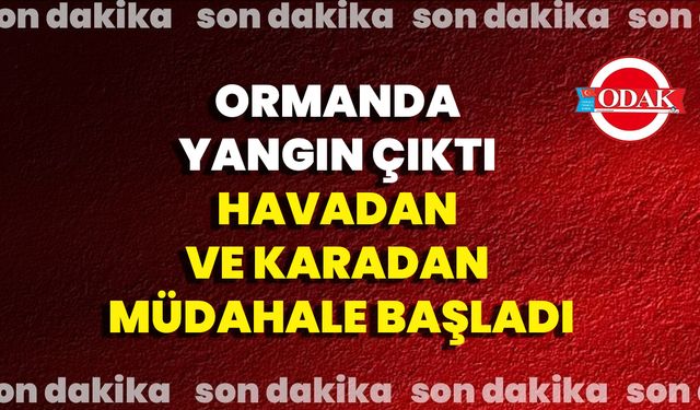 Ormanda Yangın Çıktı Havadan Ve Karadan Müdahale Başladı