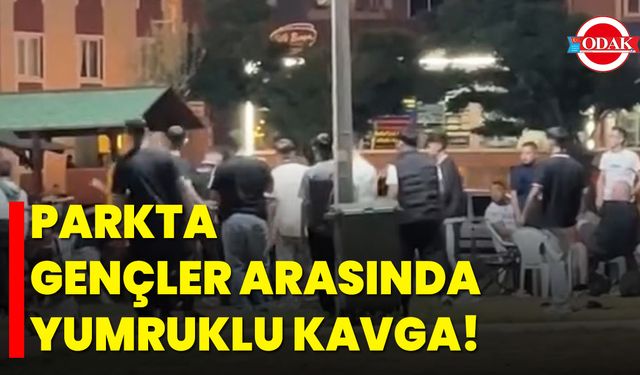 Parkta Gençler Arasında Yumruklu Kavga!
