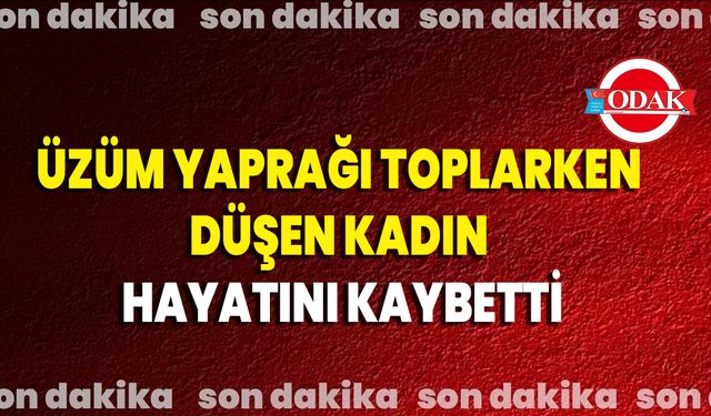 Üzüm Yaprağı Toplarken Düşen Kadın Hayatını Kaybetti