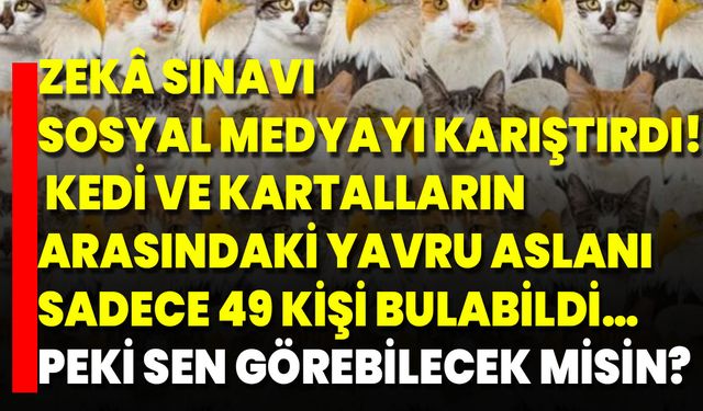 Zekâ Sınavı Sosyal Medyayı Karıştırdı! Kedi Ve Kartalların Arasındaki Yavru Aslanı Sadece 49 Kişi Bulabildi… Peki Sen Gö