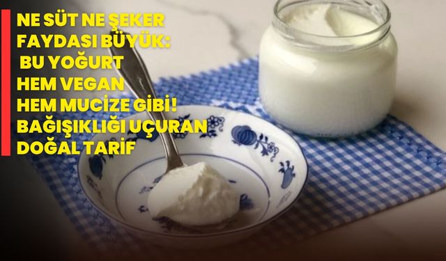 Ne süt ne şeker faydası büyük: Bu yoğurt hem vegan hem mucize gibi! Bağışıklığı uçuran doğal tarif
