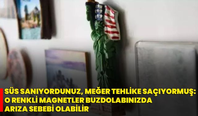 Süs Sanıyordunuz, Meğer Tehlike Saçıyormuş: O Renkli Magnetler Buzdolabınızda Arıza Sebebi Olabilir
