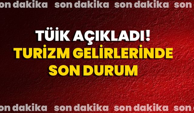 TÜİK Açıkladı! Turizm Gelirlerinde Son Durum
