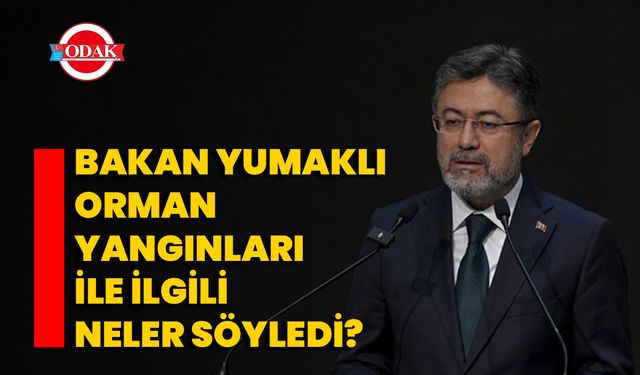 Bakan Yumaklı Orman Yangınları İle İlgili Neler Söyledi?