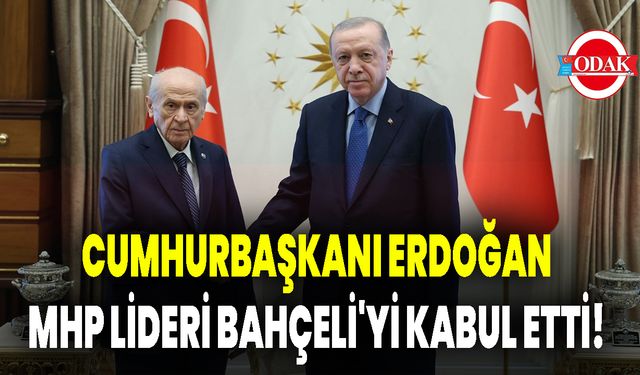 Cumhurbaşkanı Erdoğan, MHP lideri Bahçeli'yi kabul etti!
