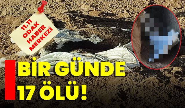 Bir günde 17 ölü!