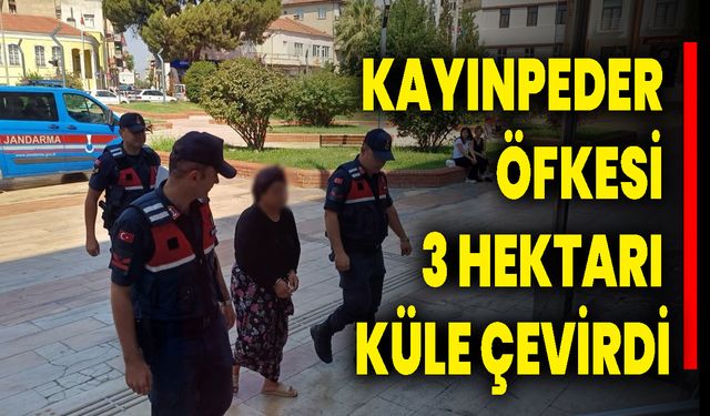 KAYINPEDER ÖFKESİ 3 HEKTARI KÜLE ÇEVİRDİ