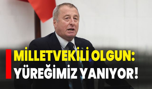 Milletvekili Olgun: Yüreğimiz yanıyor!