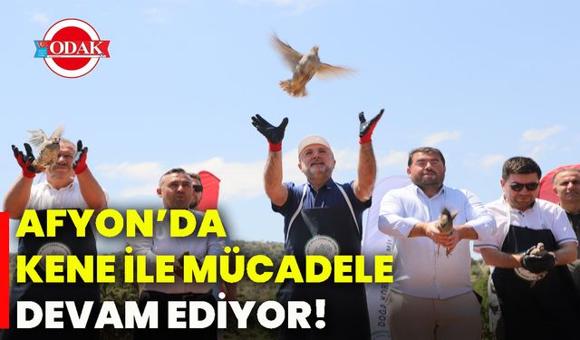 Afyon’da kene ile mücadele devam ediyor!
