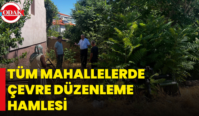 Tüm Mahallelerde Çevre Düzenleme Hamlesi