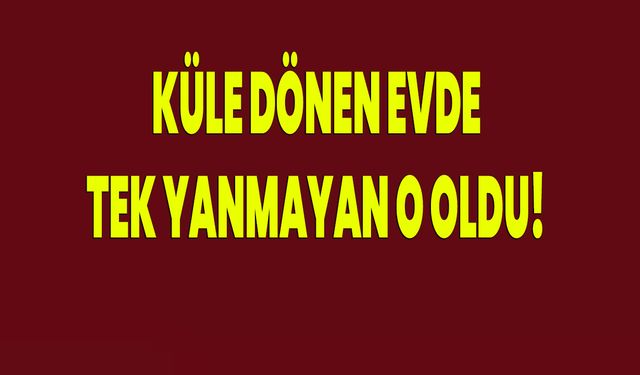 Küle dönen evde tek yanmayan o oldu