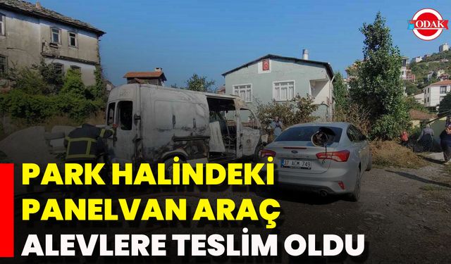 Park Halindeki Panelvan Araç Alevlere Teslim Oldu