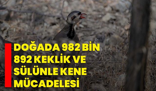 Doğada 982 bin 892 keklik ve sülünle kene mücadelesi