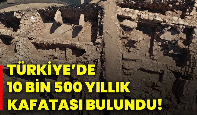 Türkiye’de 10 bin 500 yıllık kafatası bulundu!