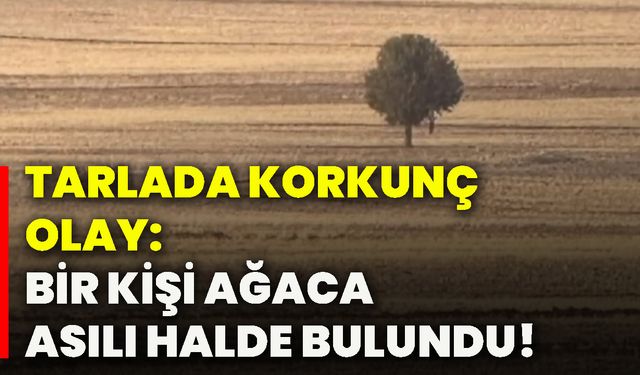 Tarlada korkunç olay: Bir kişi ağaca asılı halde bulundu!