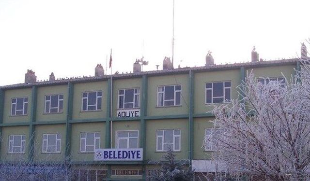 BEGONİT VE ANDEZİT TAŞ SATIN ALINACAKTIR