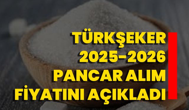 TÜRKŞEKER 2025-2026 Pancar Alım Fiyatını Açıkladı