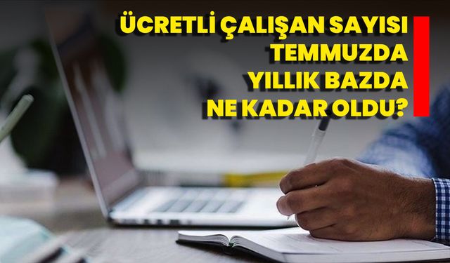 Ücretli Çalışan Sayısı Temmuzda Yıllık Bazda Ne Kadar Oldu?