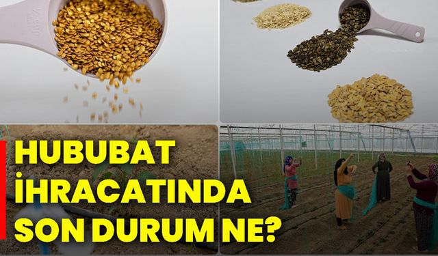 Hububat ihracatında son durum ne?