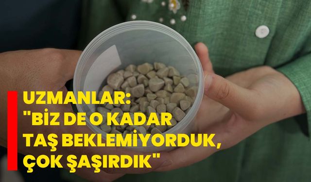Uzmanlar: "Biz de o kadar taş beklemiyorduk, çok şaşırdık"