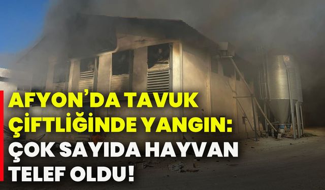 Afyonkarahisar’da tavuk çiftliğinde yangın: Çok sayıda hayvan telef oldu!
